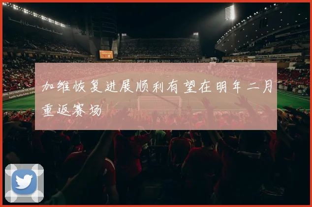 加维恢复进展顺利有望在明年二月重返赛场