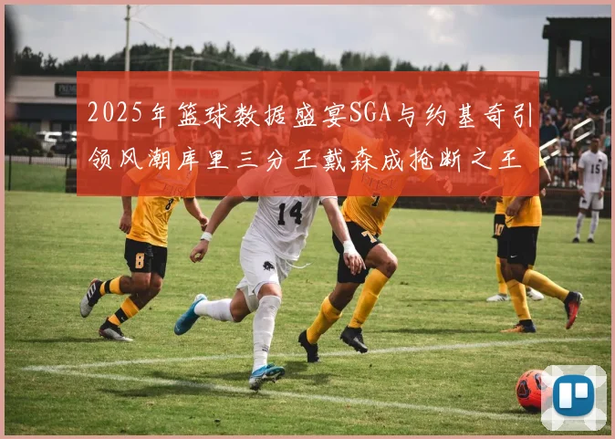 2025年篮球数据盛宴SGA与约基奇引领风潮库里三分王戴森成抢断之王