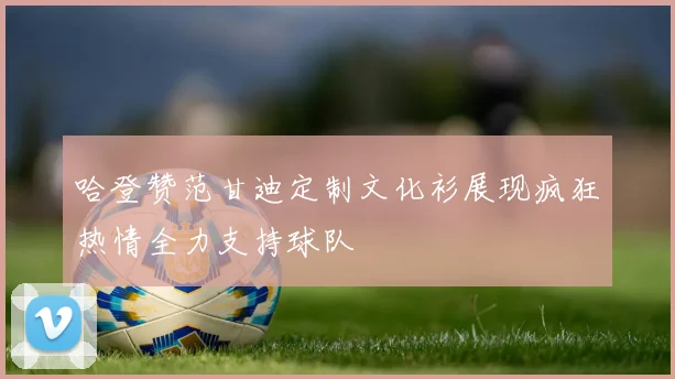 哈登赞范甘迪定制文化衫展现疯狂热情全力支持球队